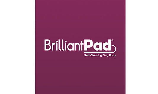 【BrilliantPad SMART】アプリの設定方法