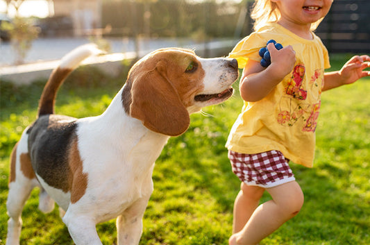 子供と犬は仲良くなれる？一緒に暮らすメリットやデメリットとは