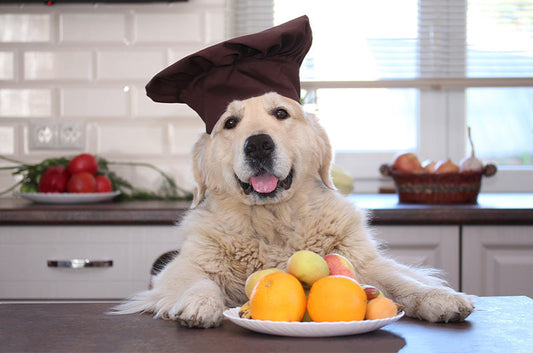 犬が食べてもいい果物とは？効果や適切な量を知っておこう