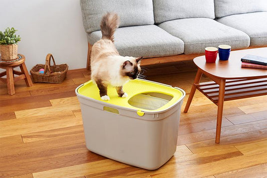 新しいトイレに変えるときに試してほしいこと