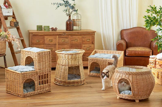 【予告】YANAGIシリーズに新しい種類が追加されます。