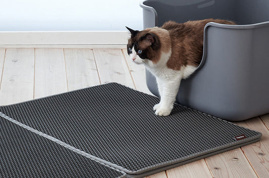 玄関が砂まみれ…。そんな子育ての悩みをズバリ解決する目からウロコのライフハックをご紹介！『猫砂メガマット』
