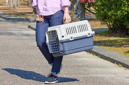 ペットと飛行機に乗る際のケージについて