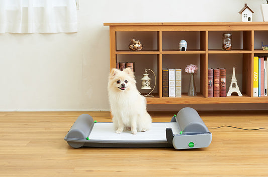 ワンちゃんのお留守番を快適にする自動犬トイレ『BrilliantPad SMART』の専用ロールがリニューアルしました♪