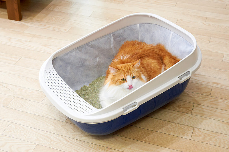 【お値下げ】ワンタッチで自動掃除する猫トイレ 専用ライナーおまけ 新品未使用品 使う前には戻れない！『メガトレー 専用ライナー』をおすすめする理由