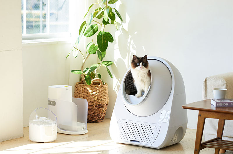 2021年7月27日】自動猫トイレMOME(モーム)が新しくなりました。 – OFT