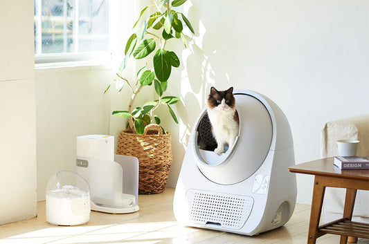 ペット愛護が進む欧米の猫トイレ事情とは？日本との違いを徹底比較