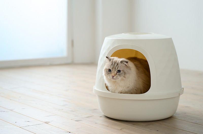 ミニチュアダックス専用のキャリーバッグ♪大型連休のお出掛けはこれで