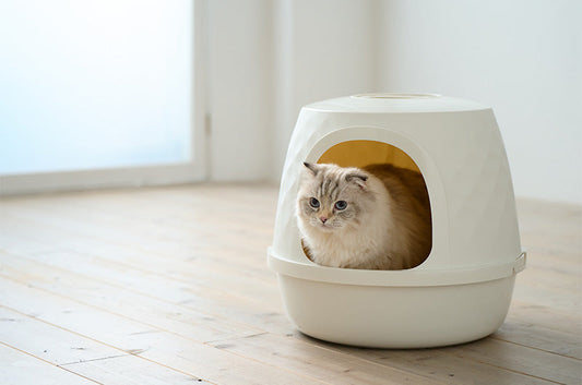 インテリアの主役級。美しいフォルムが魅力の猫トイレ『ダイヤモンド』新発売