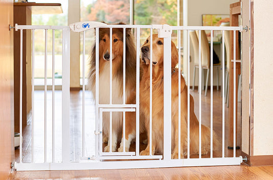 キッチンや玄関に設置！フェンス一つでペットを守る「OFTオートロックゲート」