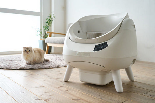 国内累計販売台数台２万台突破のCATLINKシリーズから、待望のオープンタイプが登場！『CATLINK OPEN X』