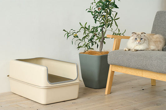 オールステンレス仕様。ニオイも汚れも寄せ付けない、進化した猫トイレ『ステンキャットPlus』発売