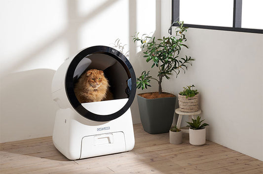 待望の大型猫種向け自動猫トイレ、ゆったり使える『SCOOP ROBOT PRO』発売