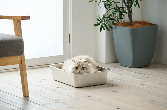 全6サイズ展開へ！大人気ステンレス猫トイレ『ステンキャットトイレ』にS～XLハイタイプが登場