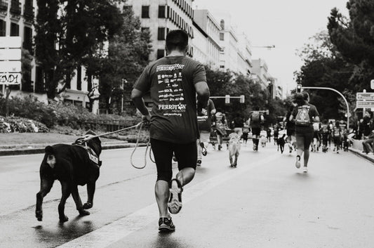 世界のペットとトイレ事情vol.1～スペイン、ロシア編