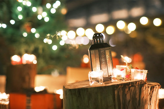 【関東】愛犬と一緒に楽しめるイルミネーションスポット5選！