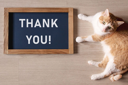 飼い主さんに伝えたい感謝！動物看護師がありがたく感じている習慣とは？