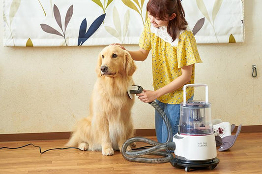 ワンちゃんと掃除機の付き合い方《前編》