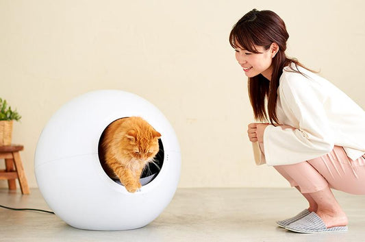 仔猫の時から自動猫トイレに慣れさせるには