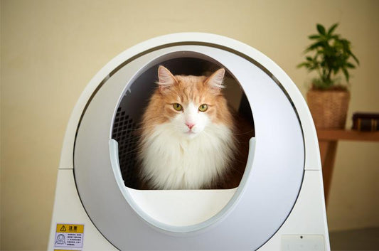 自動猫トイレの仕組みと安全性について