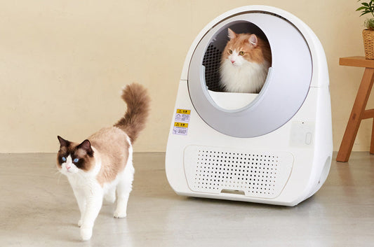 愛猫の健康管理のために『CATLINK SCOOPER PRO』を選ぶべき3つの理由