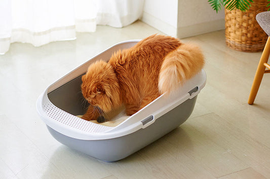 もう猫砂の飛び散りに悩まない！OFTオススメ解決アイテム
