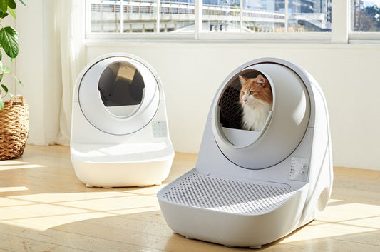 自動猫トイレは高すぎる！？実際のコスパを調べてみた！