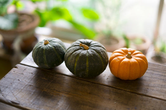  ワンちゃんにオススメ食材と注意したい食材