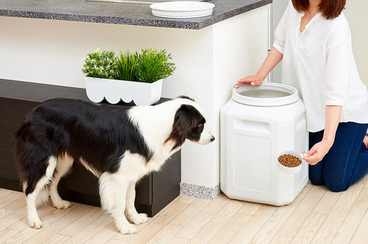 ドライフードの保存方法の最適解！『ドライフードストッカー』