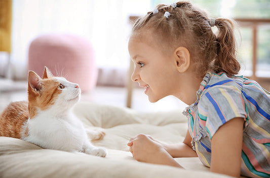 猫と子供は仲良くできる？一緒に暮らしていくためのポイントとは