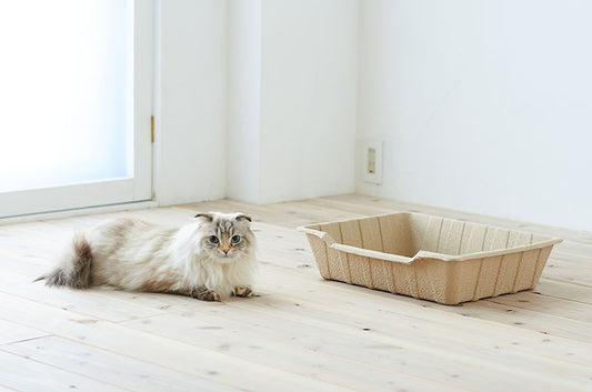 トイレ掃除はもう不要！清潔を保つ、使い捨て猫トイレ『ECO CAT TRAY』が新登場♪