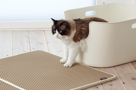 圧巻の120×77cm！超ビッグサイズ砂取りマット『猫砂メガマット』が選ばれる理由