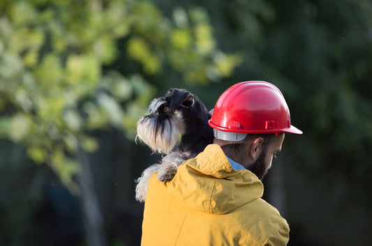 災害など万が一に備え、ペットのためにしておきたい事とは