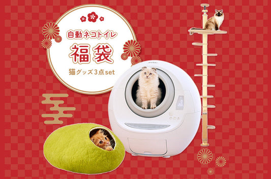 今年も人気を詰め込んだ福袋を販売します♪