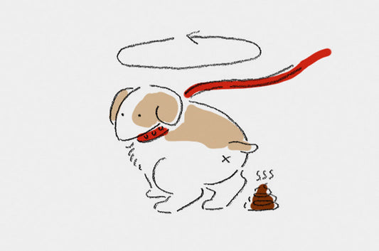  犬が『くるくる』回るのはナゼ？