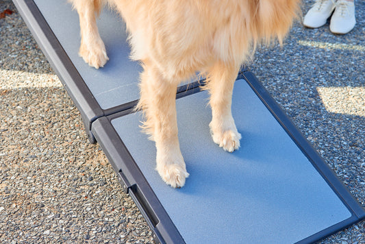 大型犬もOK！お庭や車への乗降に最適な幅広ペットスロープ『ペットステップ ワイド』