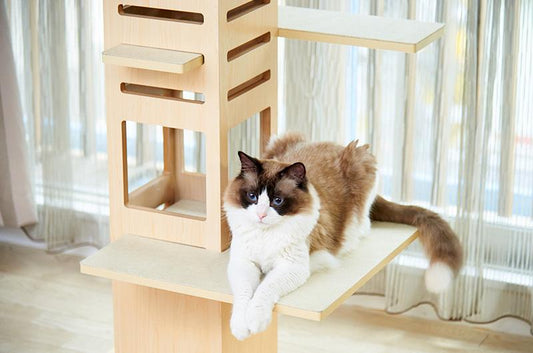 おしゃれなインテリアとしての木製キャットタワー