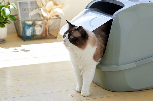 大型猫ちゃん御用達！フード付きの大型猫トイレで飛び散りも防ぐ『メガデラックス』 が新登場！