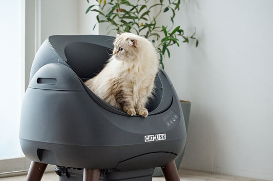 『ねこのきもち9月号vol.256』に自動猫トイレ CATLINK SCOOPER OPEN-Xが掲載されました