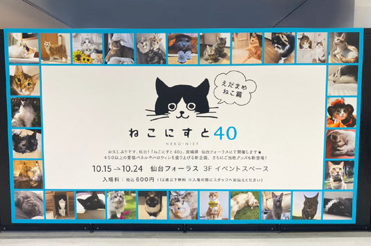『ねこにすと40』仙台にて開催中です♪