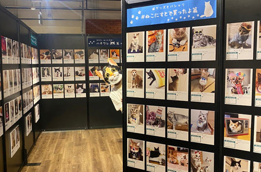 『ねこにすと41』心斎橋オーパにて絶賛開催中です♪