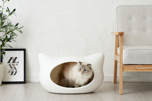 シンプルisかわいい。不動のロングセラー『ねころん』の魅力！