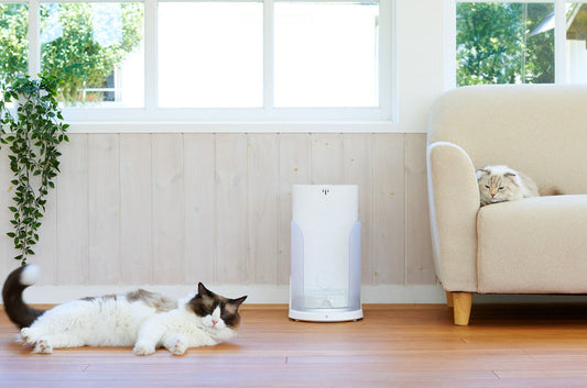 どんなに忙しくても、しっかり猫ちゃんの健康を管理してくれる給餌器！