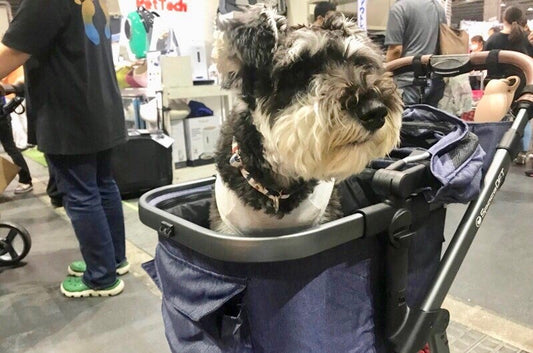 『Pet Exposition 2018 ペット博 大阪会場』を終えて...。