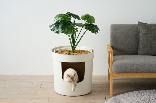 猫トイレが観葉植物に！？猫ちゃんとの生活に緑をプラス。観葉植物型の猫トイレ『プランターキャットトイレ』新発売