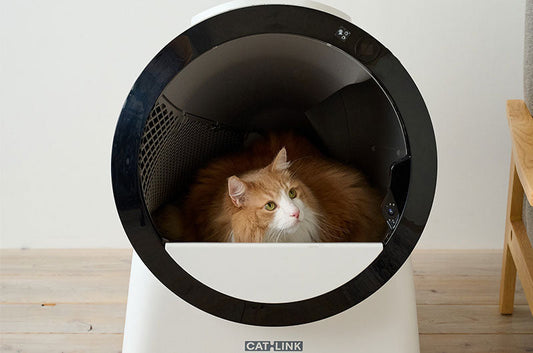 10kg級の大型猫にも自動猫トイレは使える？『SCOOP ROBOT PRO』を実機レビュー