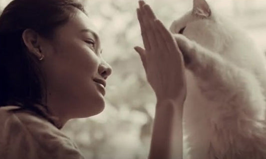 CATLINK(キャットリンク)社のショートムービーを紹介します。