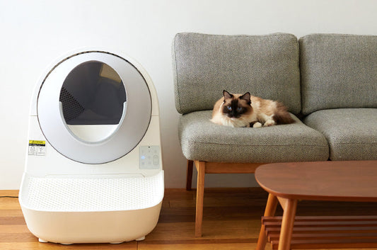 購入時の参考に：自動猫トイレのニオイ対策！便利な消臭機能５つ