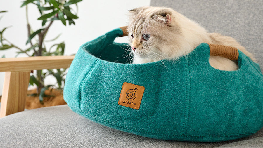 オーエフティー Buy Adidas ZX 8000 'Orbit Grey' - EF4364 | GOAT