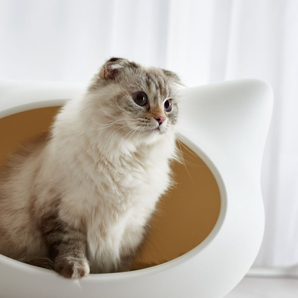 キャットハウス ねころん – OFT STORE